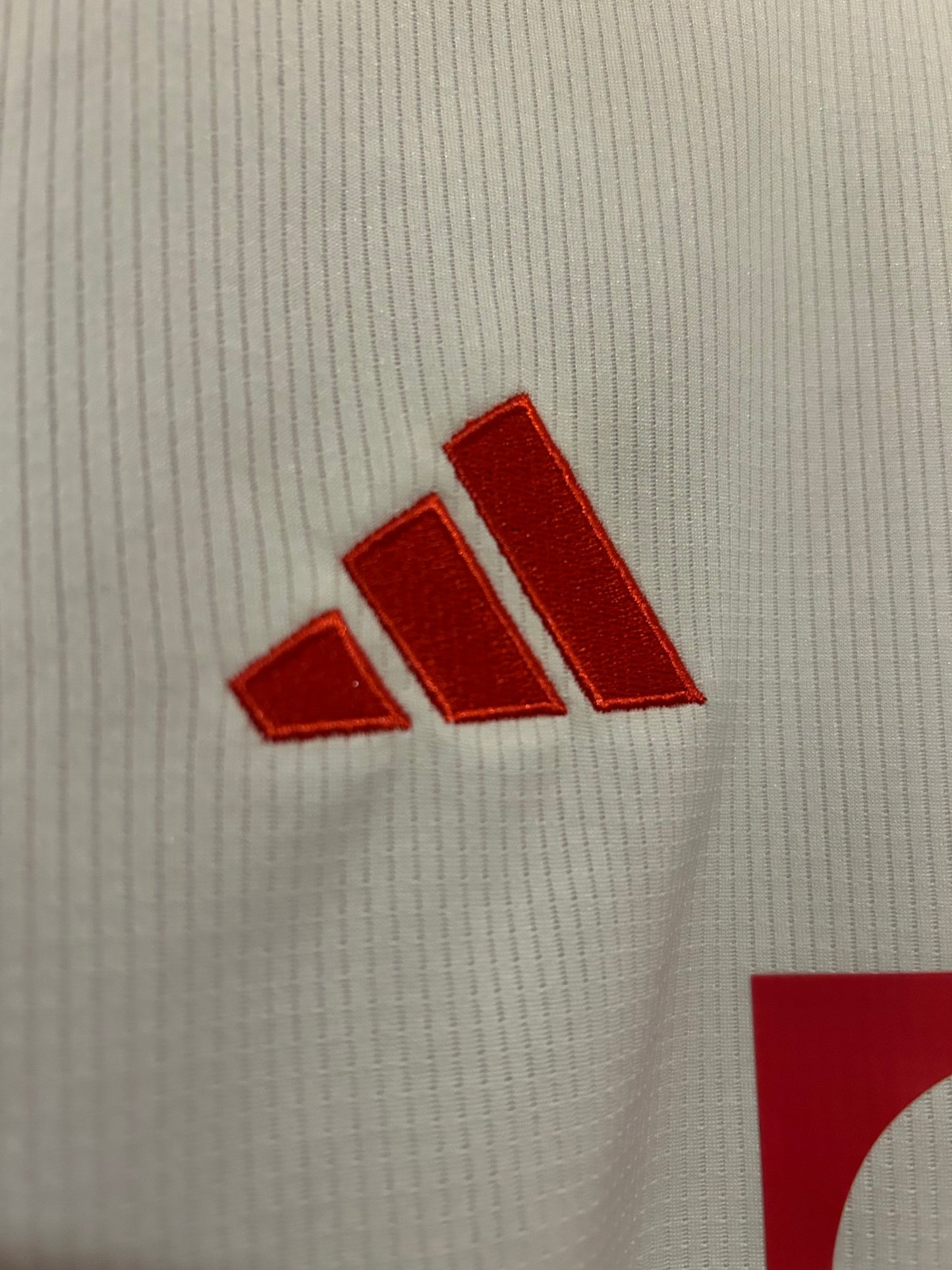 Kane No9 - FC Bayern Munich 23/24 (S) 10/10