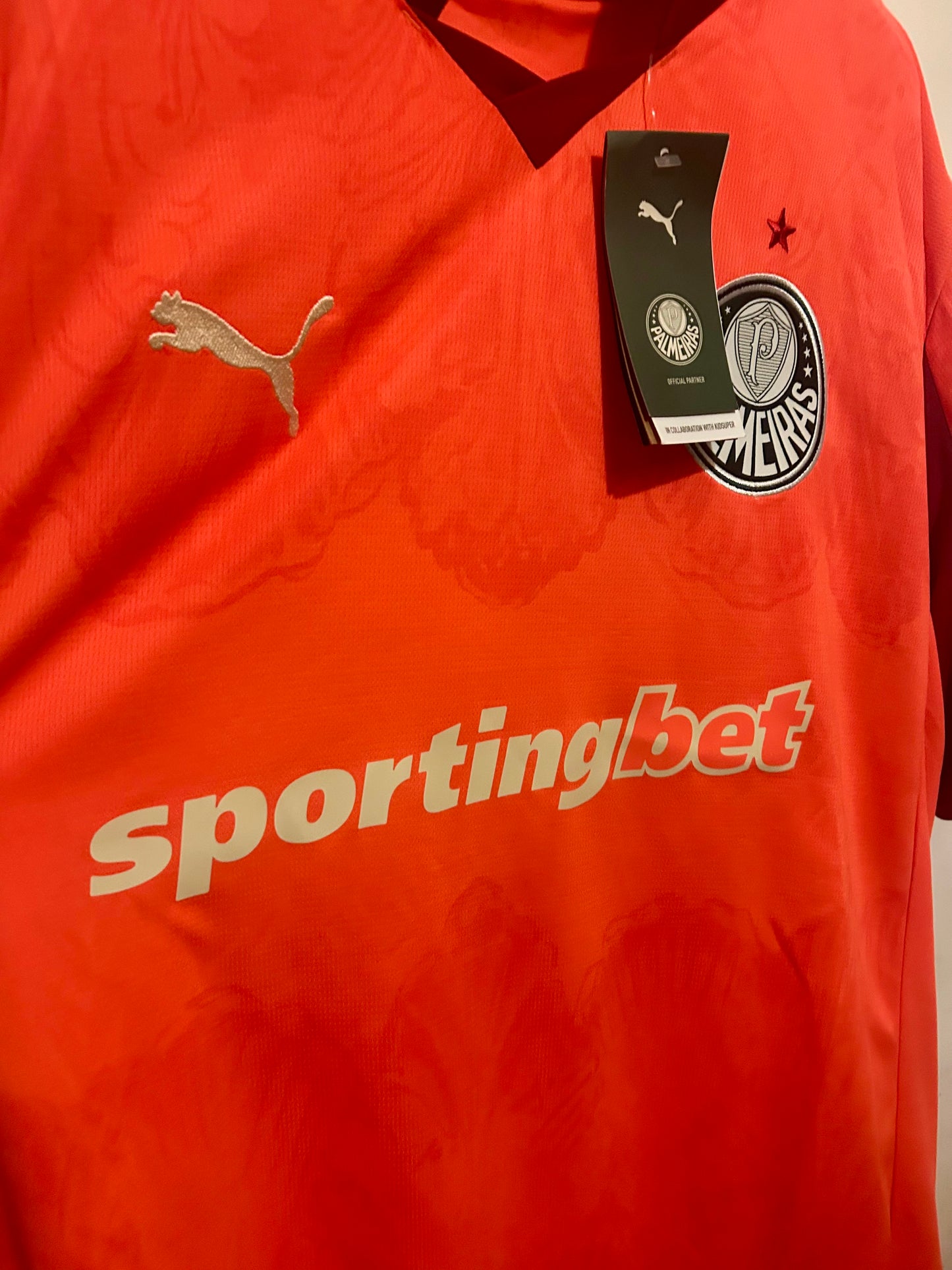Puma x KidsSuper Adults Palmeries 2025 Goalkeeper Jersey (XL) BNWT